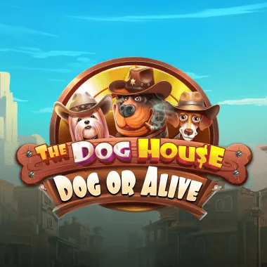 The Dog House - Dog or Alive